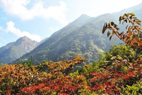 高州仙人洞風景區(qū)