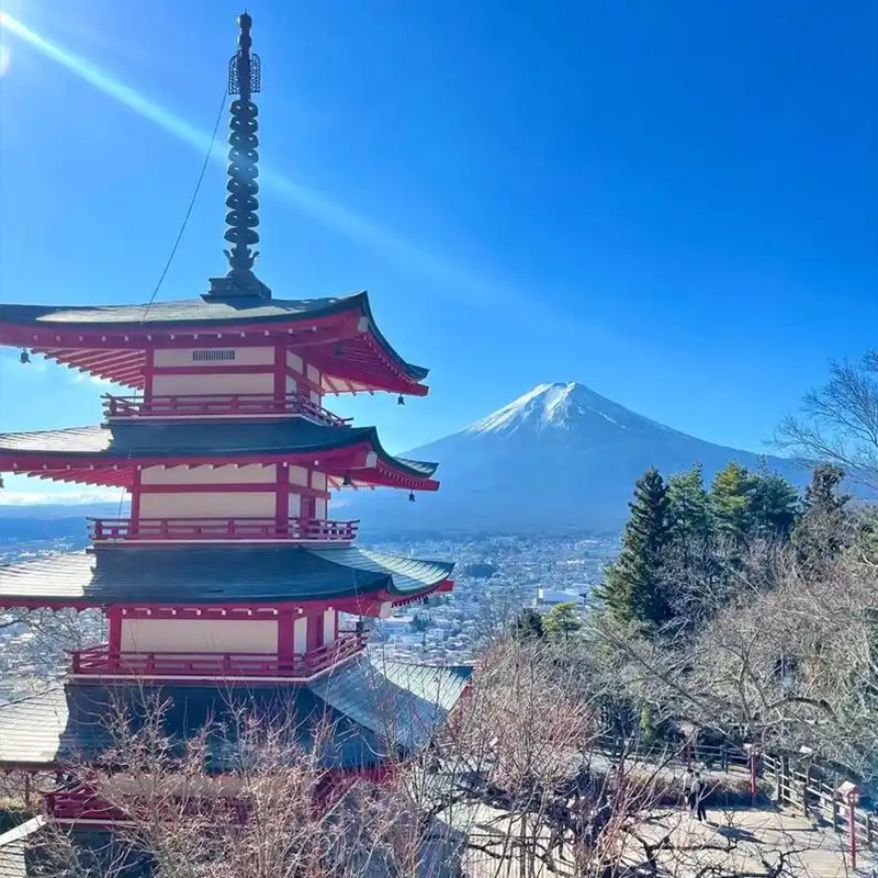 RT【暑期-嗨翻本州】日本東京、大阪、世界遺產(chǎn)富士山、急樂園、京都、奈良雙古都雙飛6天（茂名往返）