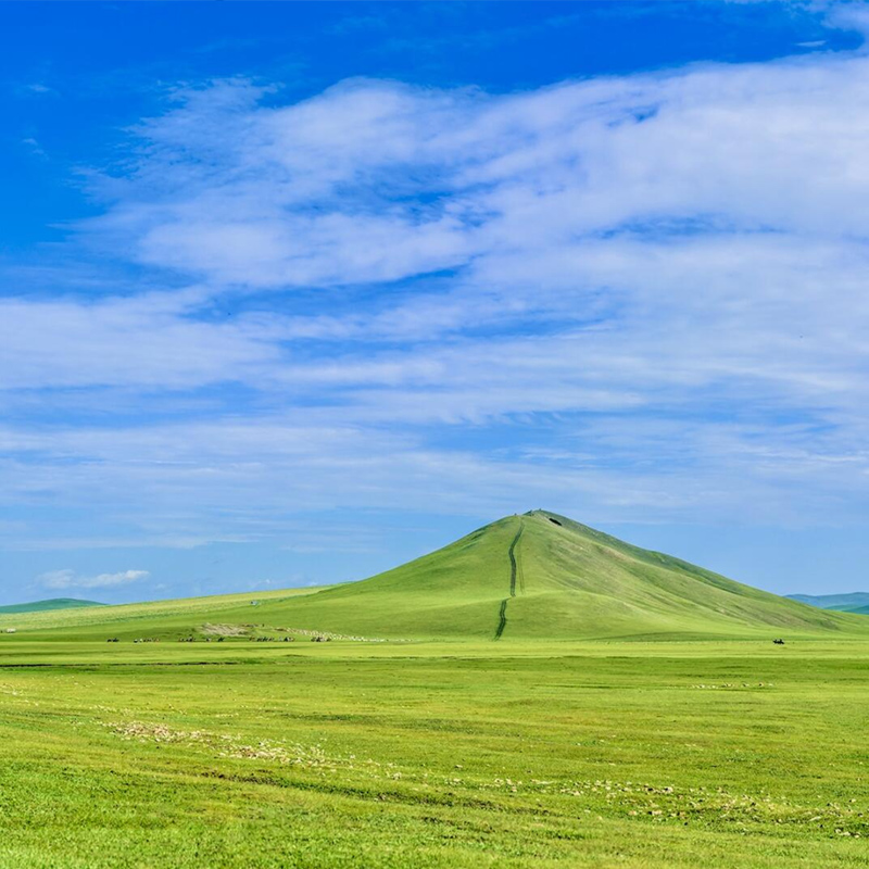 【長(zhǎng)青樹(shù)】（闖關(guān)東、看草原去北極）河北、黑龍江、內(nèi)蒙古、遼寧、吉林 空調(diào)旅游專列15天暑假班