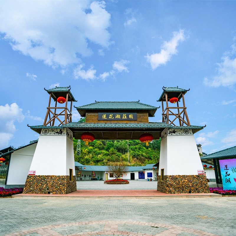 【夢(mèng)回南越】信宜蓮花湖、玻璃橋或電動(dòng)船二選一、夢(mèng)回南越實(shí)景劇演繹、山水公園、竇州墟純玩1天